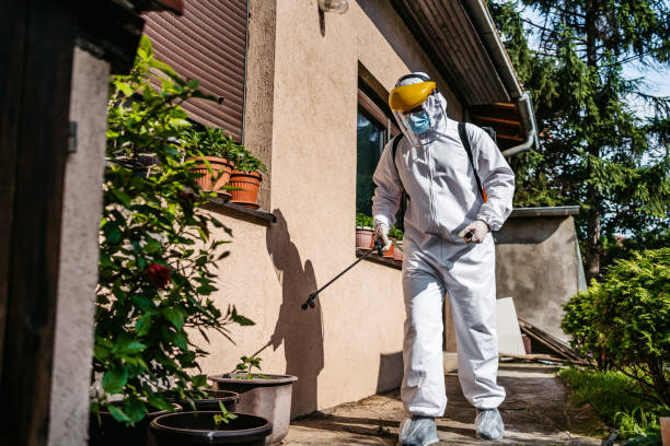 Best Wasp Removal Services  in Pittsboro, NC