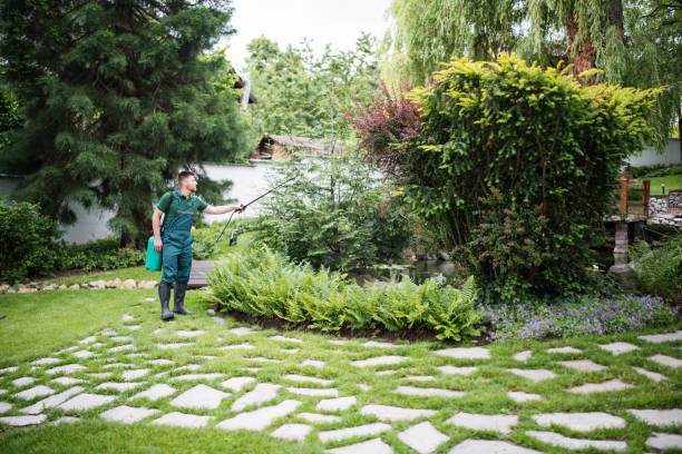 Best Wasp Removal Services  in Pittsboro, NC