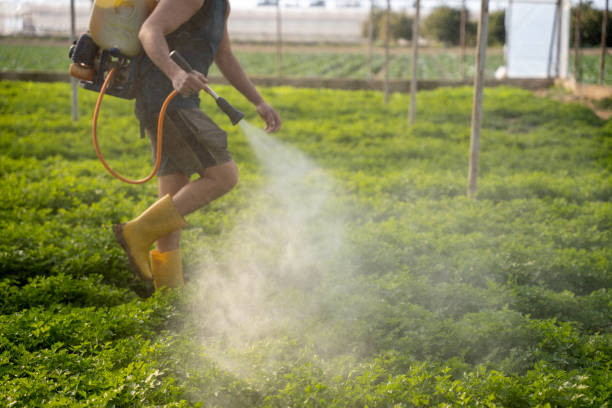 Best Pest Prevention Services  in Pittsboro, NC