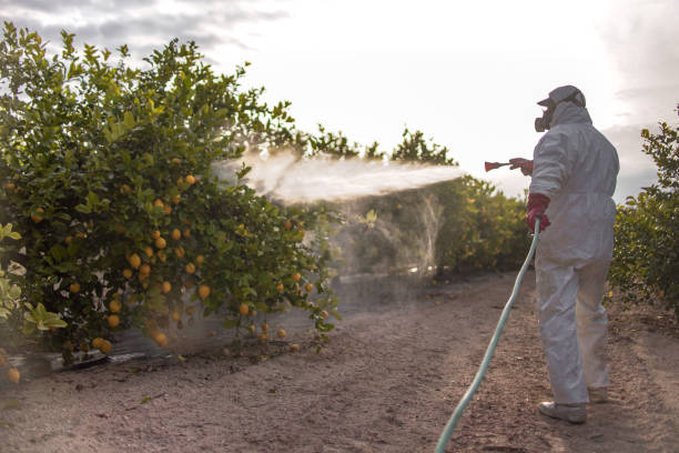 Best Affordable Pest Control Services  in Pittsboro, NC