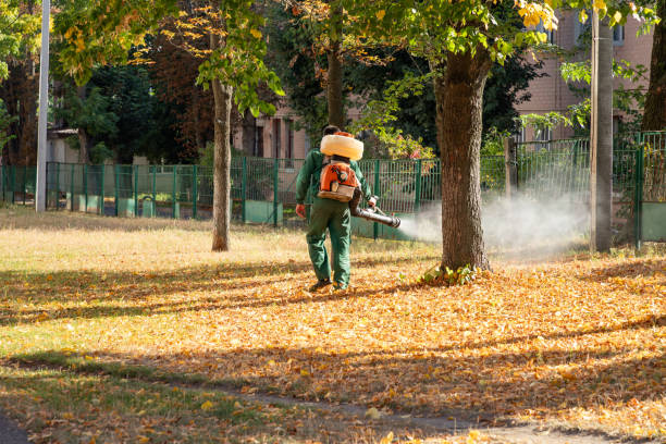 Best Best Pest Control Companies  in Pittsboro, NC